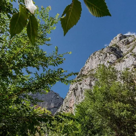 Ivino * Omis